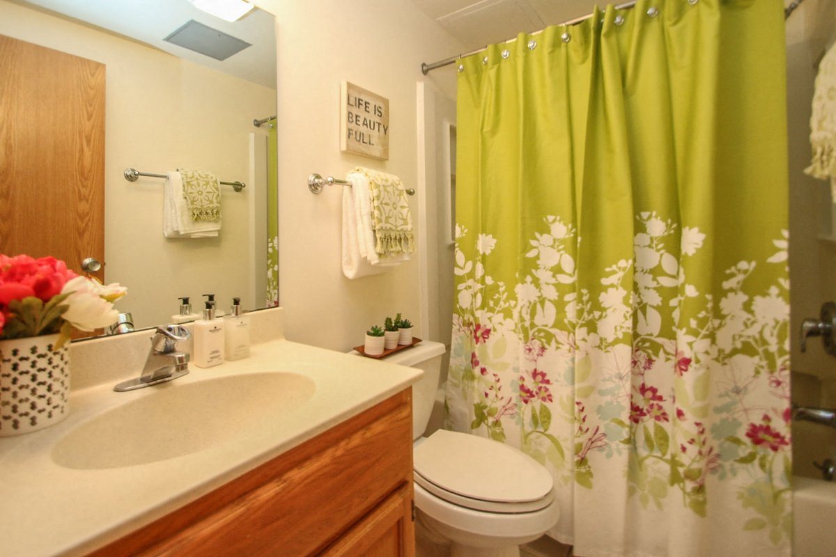 Gallery Photo 11
